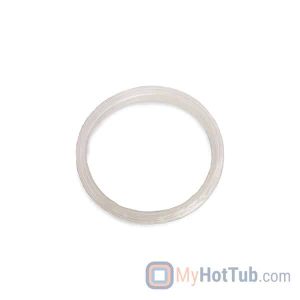 Waterway Canister Gasket, 50 Sq Ft Canister, Mesa Only